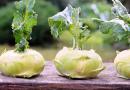 Рецепт: Салат з капусти кольрабі Що можна приготувати з капусти кольрабі салати