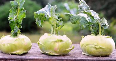 Рецепт: Салат из капусты кольраби Что можно приготовить из капусты кольраби салаты